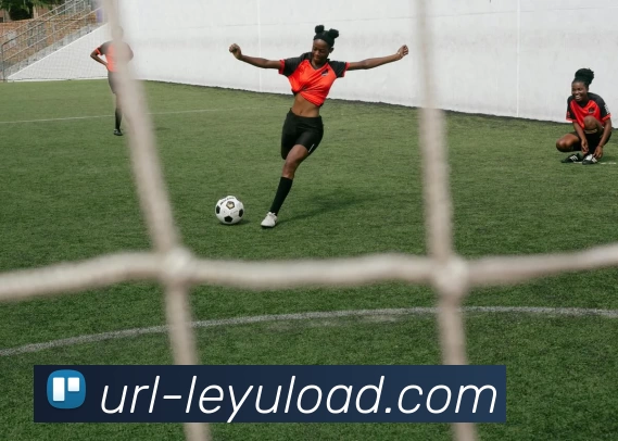 乐鱼体育APP 封面图